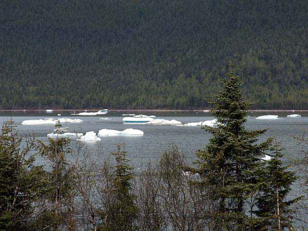 %_tempFileName024_juneau%