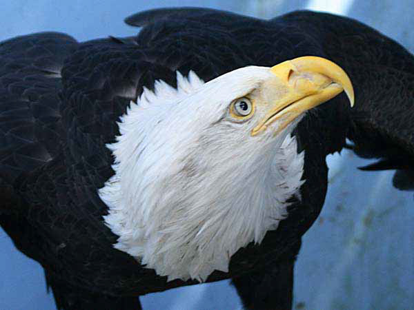 %_tempFileName055_juneau%