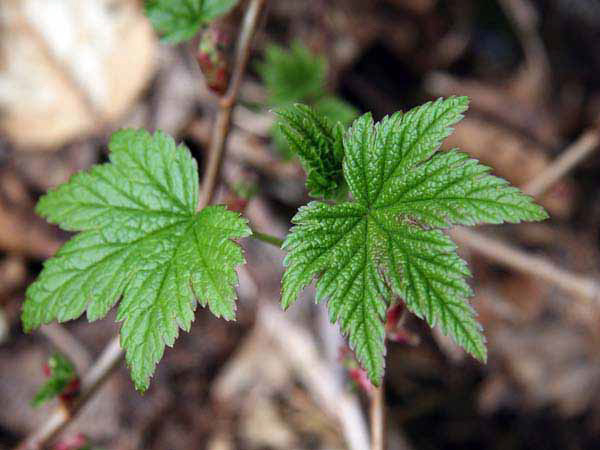 %_tempFileName075_juneau%