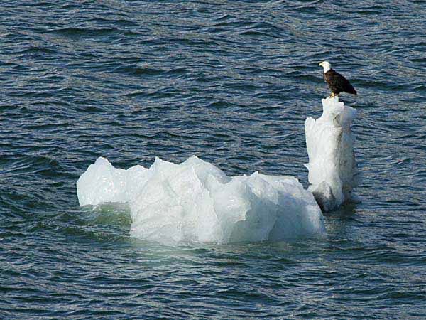 %_tempFileName077_glacierbay%
