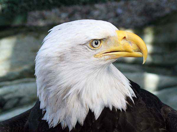 %_tempFileName087_juneau%