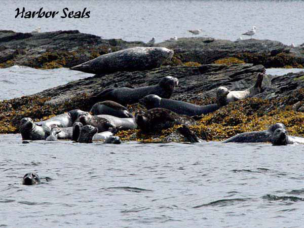 %_tempFileName108_seal%