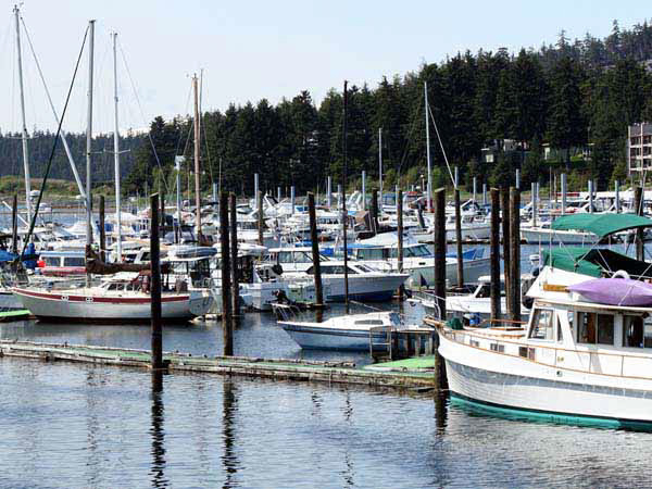 %_tempFileName112_juneau%