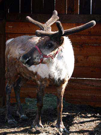 %_tempFileNamep049_whit%