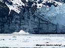 %_tempFileName028_glacierbay%