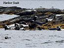 %_tempFileName108_seal%