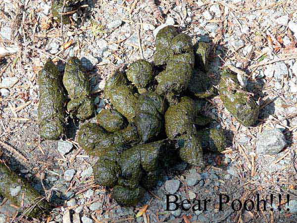 %_tempFileName062_alaska_%