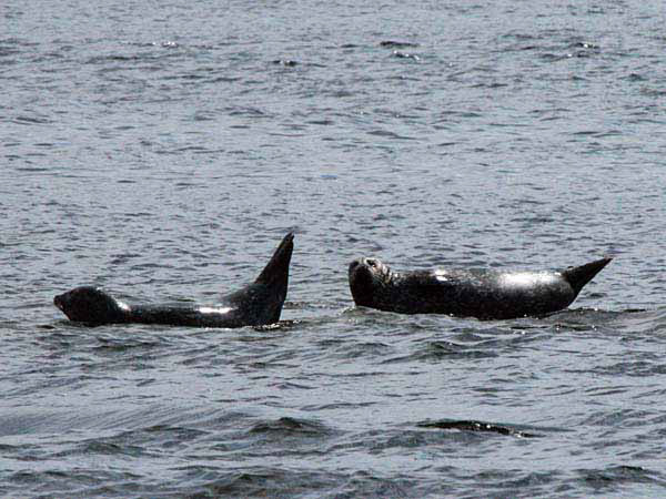 %_tempFileName070_seal_%