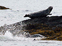 %_tempFileName094_seal_%