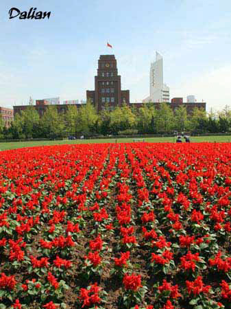 %_tempFileName069_dalian%