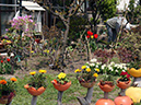 %_tempFileName055_muroran%