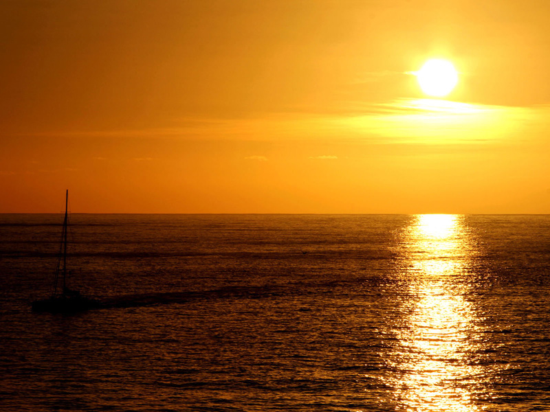%_tempFileName50_cruise%