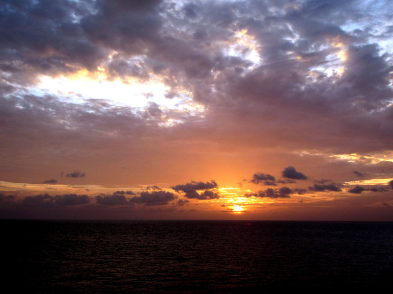 %_tempFileName59_cruise%
