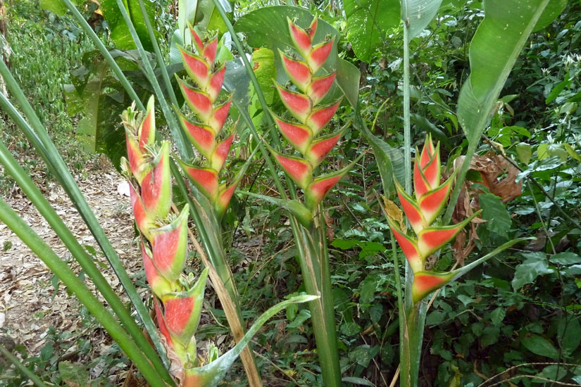 P1120235