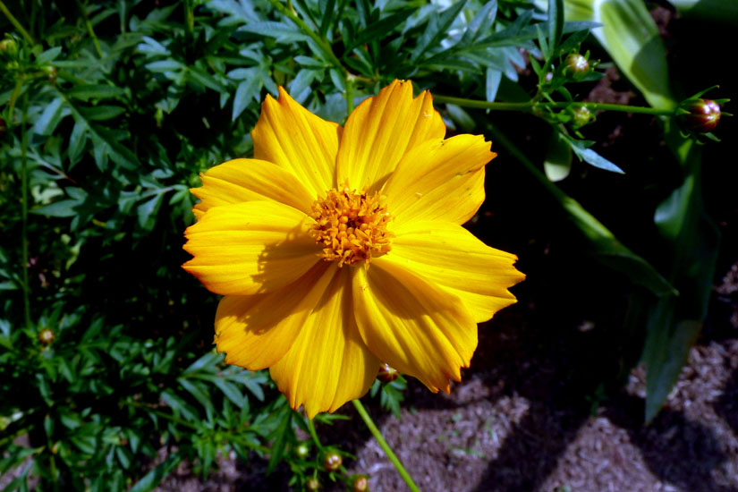 P1120287