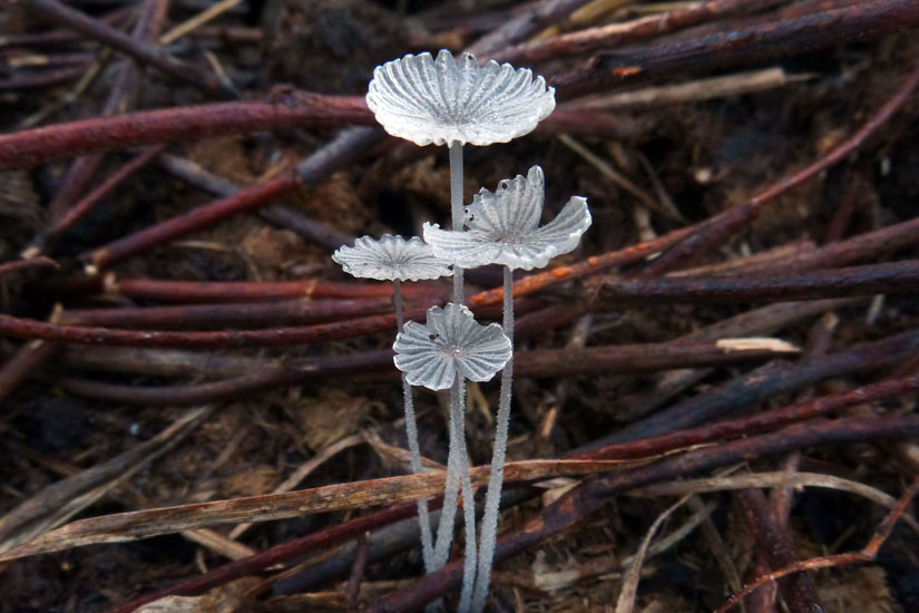 P1120395