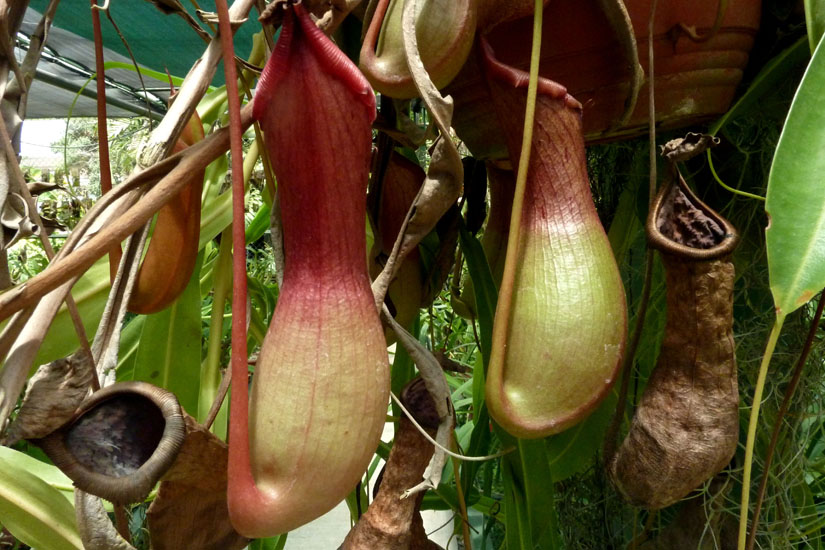 P1120513