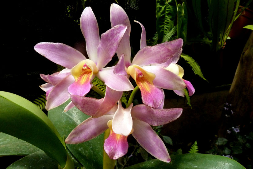 P1120524